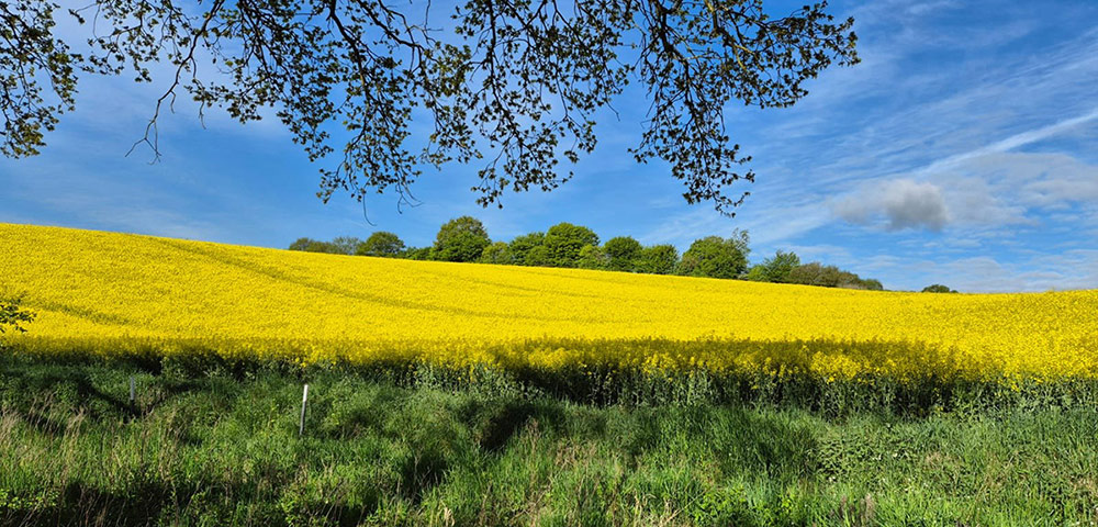 Ferienwohnung Malente - Casita in Ostholstein, Schleswig-Holstein nahe der Ostsee