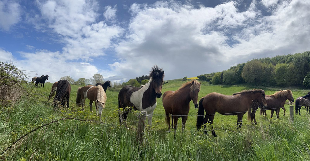 Ferienwohnung Malente - Casita in Ostholstein, Schleswig-Holstein nahe der Ostsee