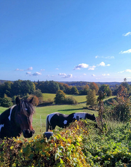 Idyllische Landschaft